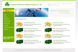 青岛网景 以专业模板与定制开发，做客户信赖的网站建设伙伴